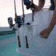 SeaSucker Single Rod Holder, White, 810046210963