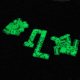 Shed, Seattle Sports TerraGlo Dominoes/Glow