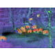 Open Box, Dealer Demo, Shinenyx G1A/384 1x5.45-16.5mm Thermal Imaging Monocular with Mount, Black, G1A+Mount