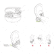 Shokz One Headphone