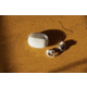 Shokz One Headphone