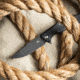 Skallywag Tactical Tactical Iron Jaw Folding Knife, 3.4in, D2, Straight Back, G10/Titanium, Black, Iron Jaw