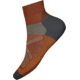 Smartwool Bike Zero Cushion Ankle Socks - Womens, Picante, Small, SW001970J331-S
