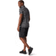 Smartwool Merino 150 Polo - Mens, Iron Stripe, Large, SW000216D48-L