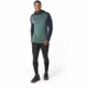 Smartwool Merino 250 Color Block Hoodie - Mens, Pine Gray Tick Stitch, Small, SW019018C11-S