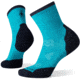 Smartwool Performance Run Cold Weather Mid Crew Socks - Womens, Capri, Medium, SW001371810M