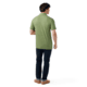 Smartwool Short Sleeve Polo - Mens, Fern Green, Small, SW002361N06100S000