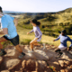 Smartwool Intraknit Merino Base Layer Crew - Womens