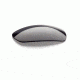 Smith Elite Pivlock V2 Max Replacement Lens PMTLNSGY