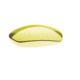 Smith Elite Pivlock V2 Replacement Lens PVTLNSAB