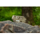 Smiths PP1-Mini Tactical Sharpener, Desert Tan, SP-50983
