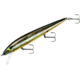 Smithwick Perfect 10 Rogue Jerkbait, 5.5in, 5/8 oz, Chrartreuse/Black-Orange, ADR531OB