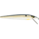 Smithwick Suspending Rattlin' Rogue Jerkbait, 4.5in, Foxy Shad, ASDRB12272