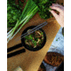 Snow Peak Anodized Titanium Chopsticks, Titanium, SCT-115