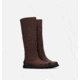 Sorel Ainsley Tall Boot - Womens, Cattail, 10, 1831681908-10