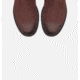 Sorel Ainsley Tall Boot - Womens, Cattail, 10, 1831681908-10