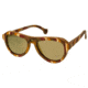 Spectrum Sunglasses Fanning S114GD Sunglasses, Multi Frame, Gold Frame SSGS114GD