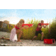 Spyra LX Water Blaster, Red, SPLX1R