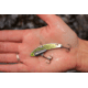 SteelShad Heavy, 1/2 Oz, Gold, SSL-10119