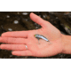SteelShad Mini, 2 Pack, 1/4 Oz, Tennessee Shad, SSL-10116