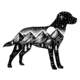 Sticker Art Adventure Dog Sticker