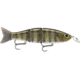 Storm Arashi Swimmer 18 Sinking, Variable Running Depth, Extra Tail, Green Gill, 7in, 2-3/16oz, #1/0 Trebles, ASW18691