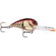Storm Deep Wiggle Wart