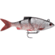 Storm Live Kickin Shad 05 Soft Bait, Bleeding Roach, LKSD05BRO