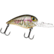 Storm Wiggle Wart Madflash Crankbait, Floating, Mossy Craw, 2in, 3/8oz, VM864