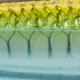 Strike King Evader 90 Topwater Baits, Chrome Herring, 9cm/3.5in, HCEV90-862