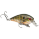 Strike King Rattlin'Rage Craw Fishing Lure, Soft Plastic Craw, Green Pumpkin, 4in, 5-Pack, RGCRWR4-46, RGCRWR4-46