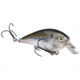 Strike King KVD Perfect Plastics Swim-N-Shiner, Soft Plastic Swimbait Fishing Lure, KVD Magic, 4in, 6-Pack, ??SWNS4-141, SWNS4-141