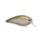Strike King KVD Elite 2.5 Crankbaits, River Shiner, 5/8oz, HCKVD2.5E-696