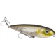 Strike King KVD Sexy Dawg Jr Fishing Lure, Topwater Walking Bait, Clearwater Minnow, 3/8oz, HCKVDSDJR-684, HCKVDSDJR-684