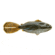 Strike King Rage Shellcracker,Blue Craw RGSC-108