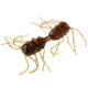 Strike King Sexy Bug Softbait, 6 pack, 2in, Grape Whiskey, 12-36356