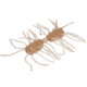 Strike King Sexy Bug Softbait, 6 pack, 3in, Clear Pumpkin, 12-36371