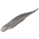 Strike King Spotlight Shim-E Minnow Softbait, 6 pack, 5in, Carolina Chrome, 12-36032