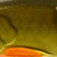 Strike King Bitsy Glide Hard Bait