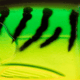 Strike King Bitsy Glide Hard Bait