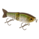 Strike King Bitsy Glide Hard Bait