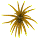 Strike King Chuker Soft Bait