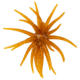 Strike King Chuker Soft Bait