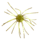 Strike King Mag Tumbleweed Floating Soft Bait