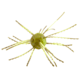 Strike King Mag Tumbleweed Floating Soft Bait