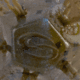 Strike King Mag Tumbleweed Floating Soft Bait