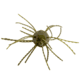 Strike King Mag Tumbleweed Floating Soft Bait