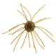 Strike King Mag Tumbleweed Floating Soft Bait