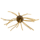 Strike King Mag Tumbleweed Floating Soft Bait