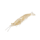 Strike King Tidal Shrimp Swimbait, Gold Rush, 4.25in, TSB425-519